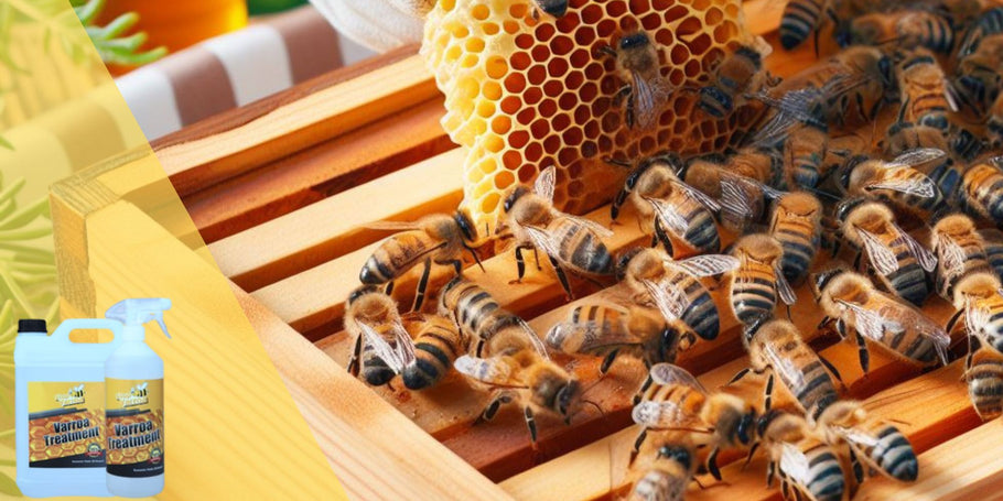 Farewell Varroa, Hello Healthy Hives: A Comprehensive Guide to Treatments
