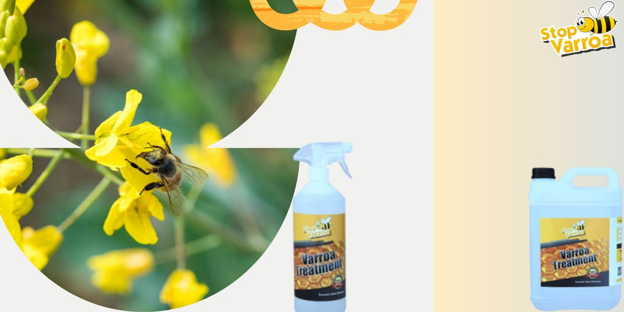 Anticipate the presence of Varroa and effectively protect our bees