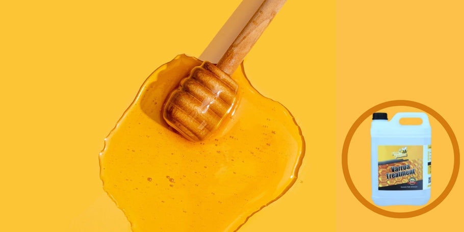 The mystery of the disappearing honey: diagnose your honey production problems