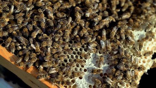 Image #1 de Giampiero Giu