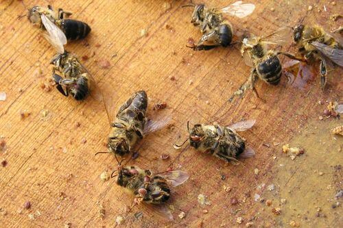 Image #1 from محمد