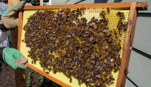 Image #1 de Jean-Pierre Bernard