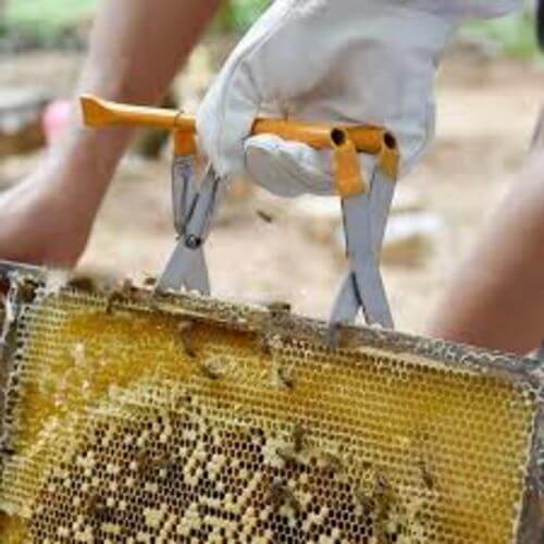 Image #1 de Blair Parlotti