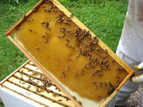 Image #1 de Dan Johnson