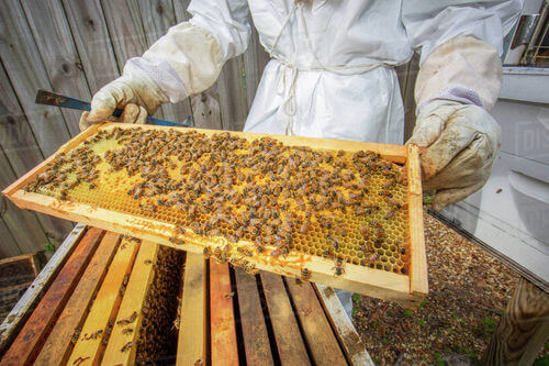 Image #1 de Didier Thierry