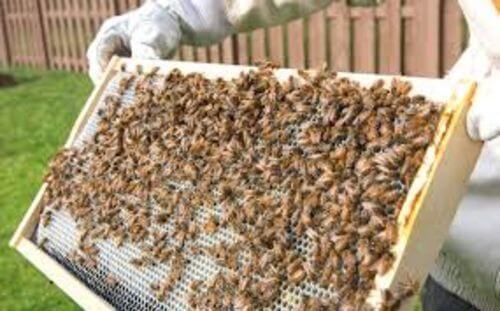 Image #1 de Maria Posso