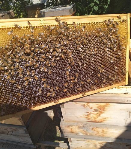 Image #1 de Giovanni Resnino