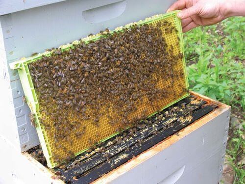 Image #1 de John Bern