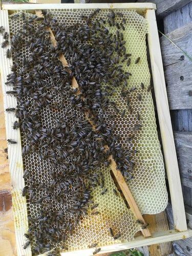 Image #1 de Philippe H.