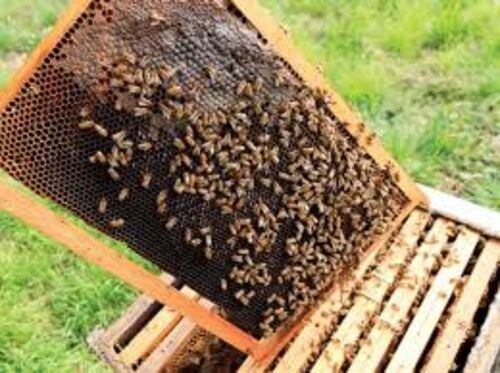 Image #1 de Nicola G.