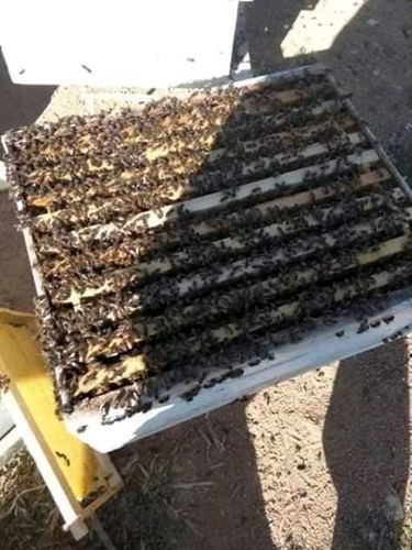 Image #1 de Harry W.