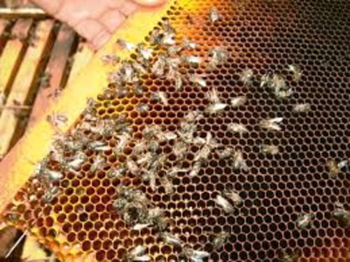 Image #1 de Edmond R.