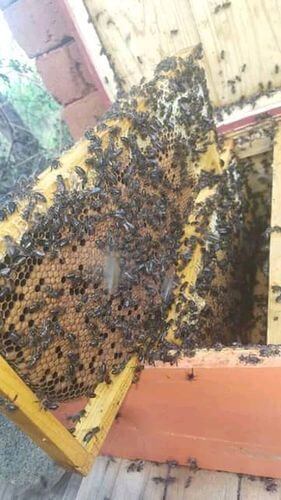 Image #1 de Berto W.