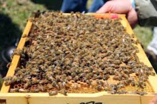 Image #1 de Stephane D.