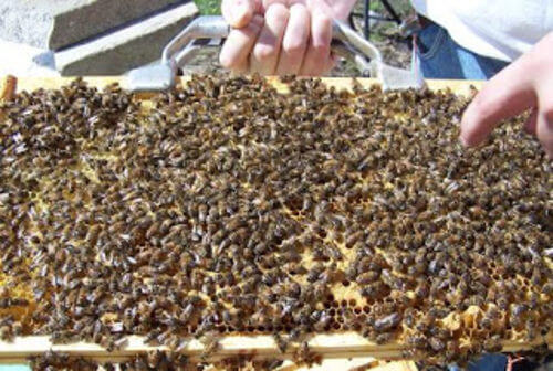 Image #1 de Valentina C.