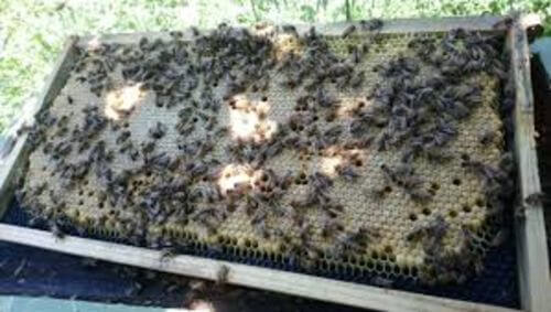 Image #1 de Raûl G.