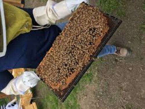 Image #1 de Antonio H.