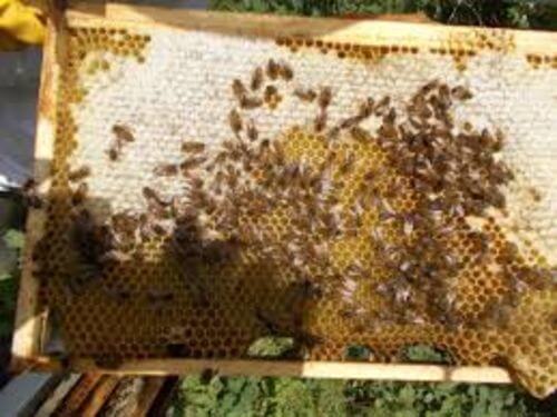 Image #1 de Alessandro M.