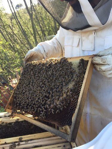 Image #1 de Vincenzo L.