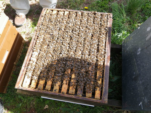 Image #1 de Giovanni H.