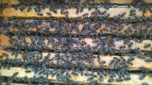 Image #1 de Horst Z.