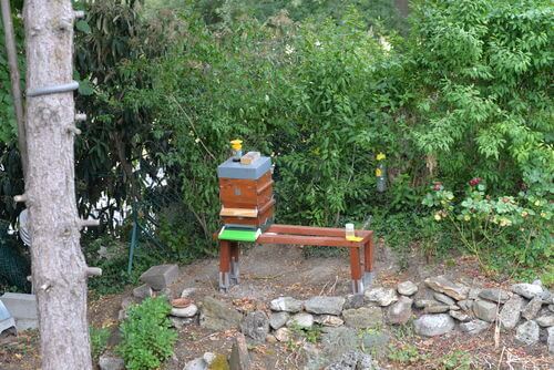 Image #1 de Robert A.