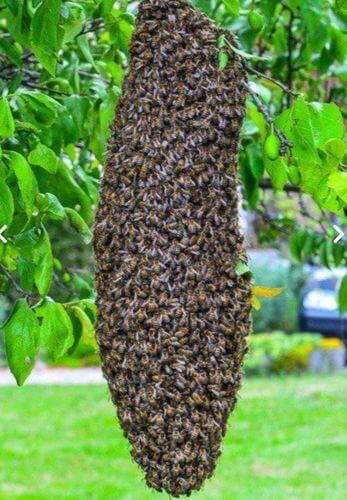 Image #1 de Mathieu P.