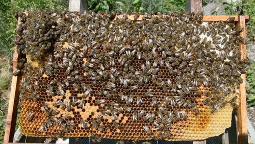 Image #1 de Robert R.