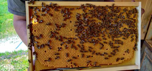 Image #1 de Bostjan L.