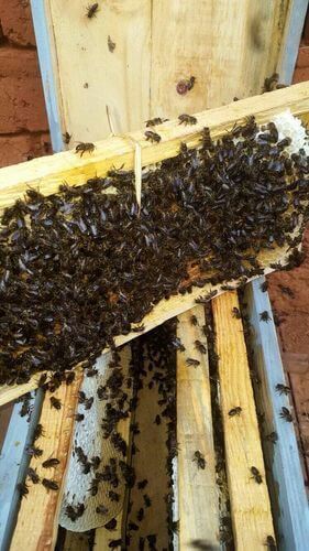 Image #1 de Hervé V.