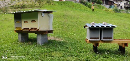 Image #1 de Boštjan L.