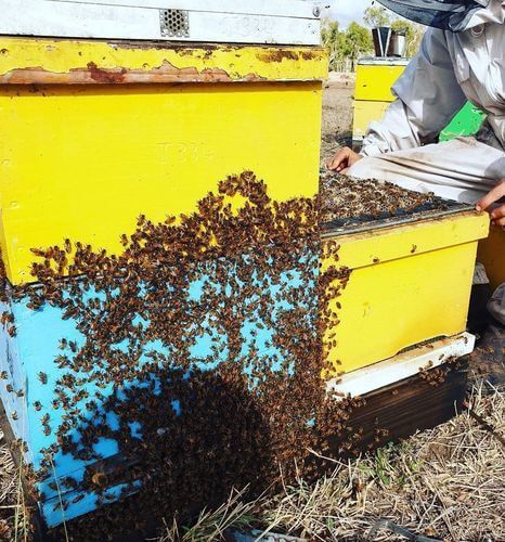 Image #1 de Alejandro A.