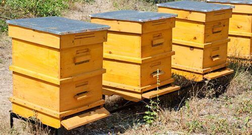 Image #1 de Mueller B.