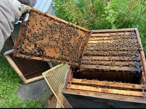 Image #1 de Valeria L.