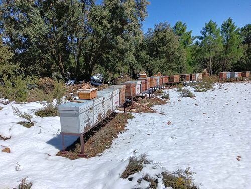 Image #1 de Antonio M.